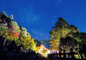【終了しました】第14回池田家墓所写真コンクール作品展